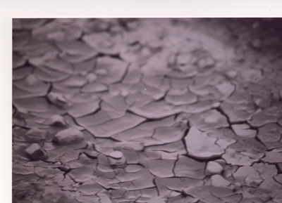 cracked mud puddle