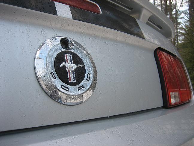 Creative 'Stang shot.