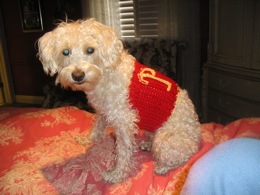 crochett...for peanut...the dog