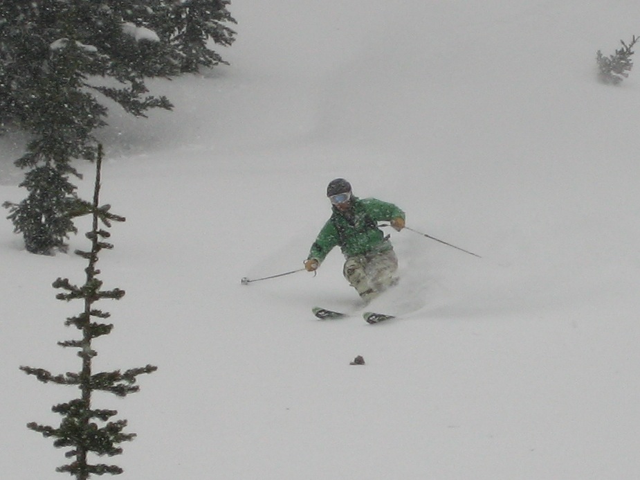 Crystal Sucks Large donkey balls.