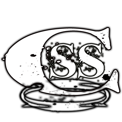 CSS Logo
