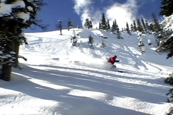 Currie bowl vid still