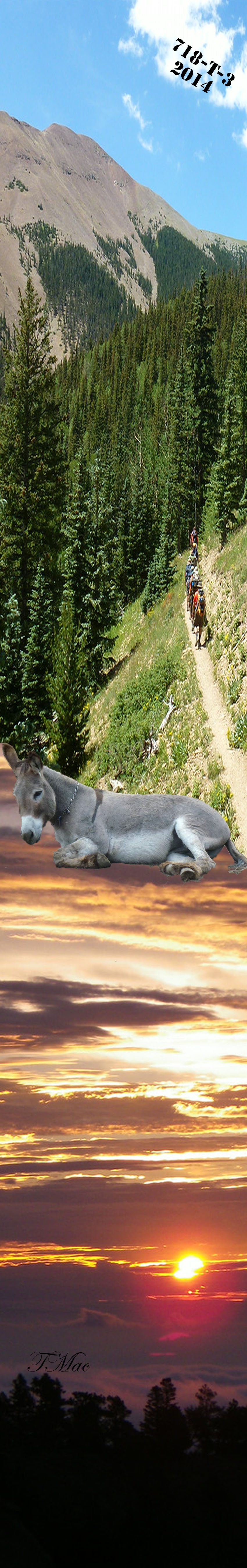 Custom Ski Graphic Top Sheet