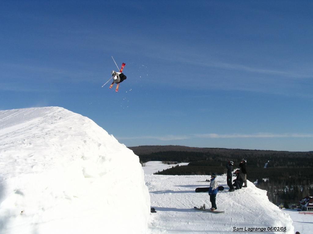 D-Spin 900 Invered Mute