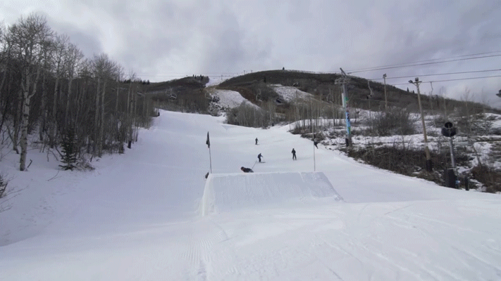 Dale Talkington // Switch Cork 7 Tail Butter