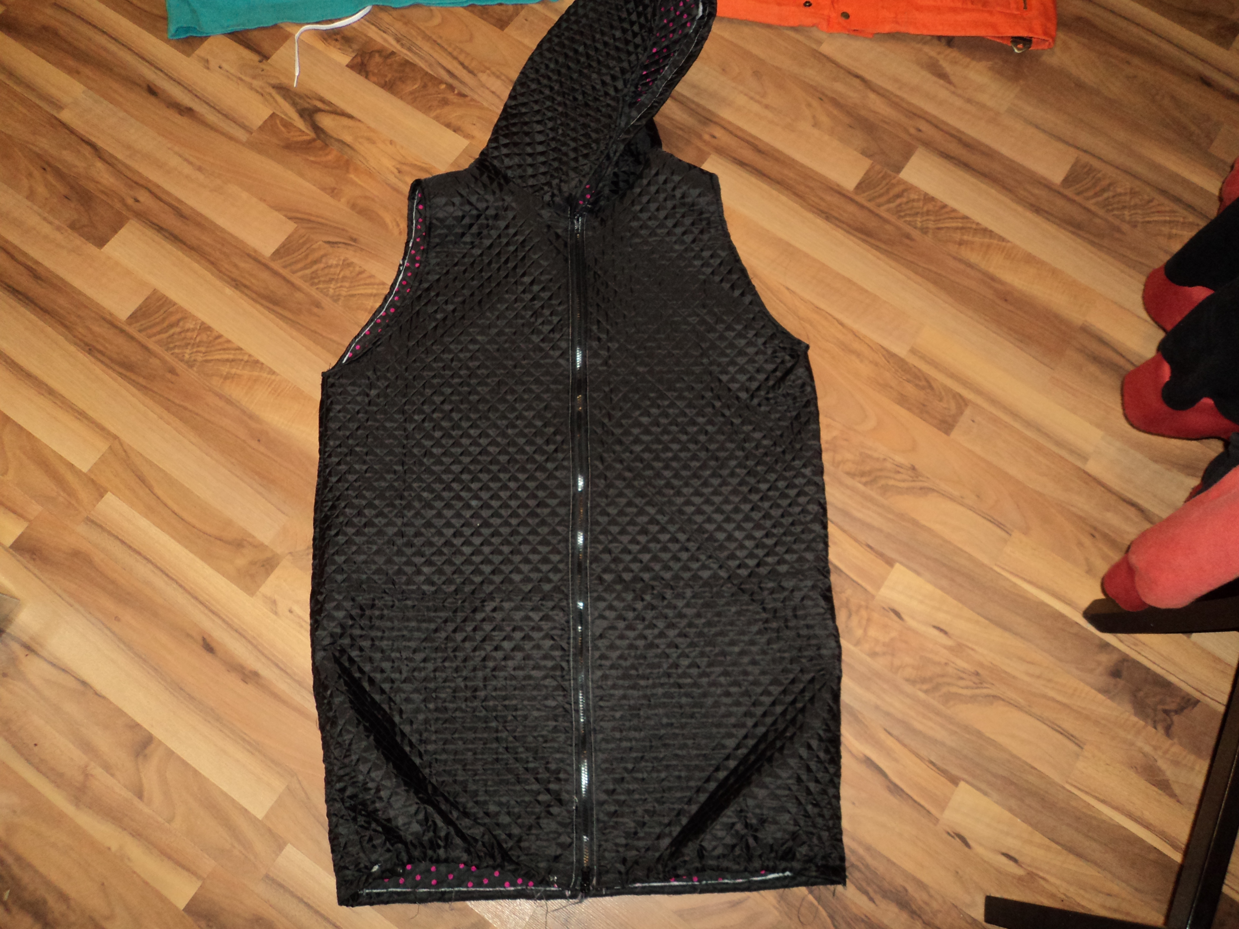 Dane tudor vest