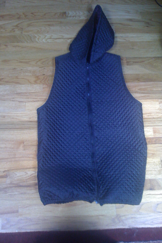Dane tudor vest