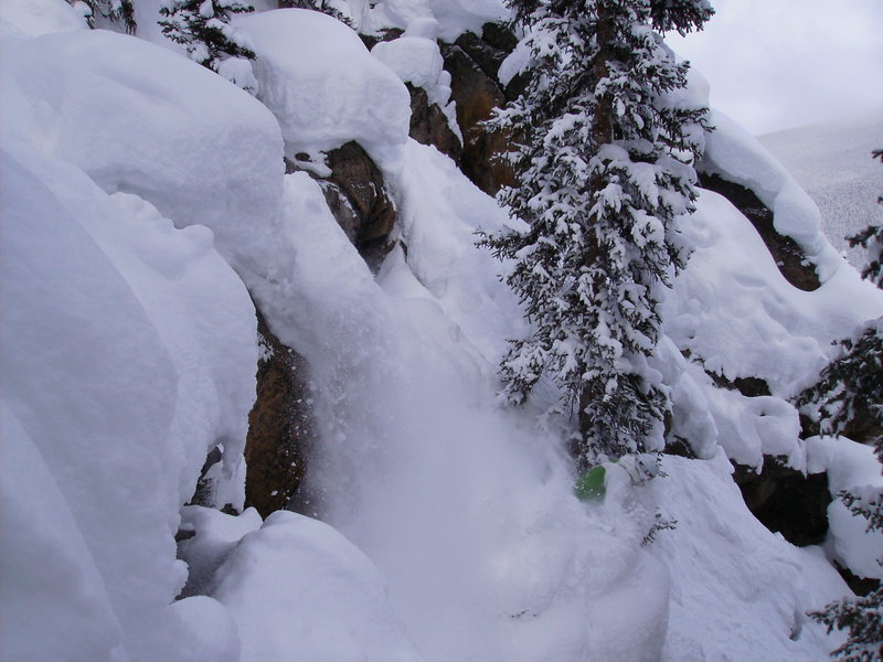 Dave in the mushroom patch