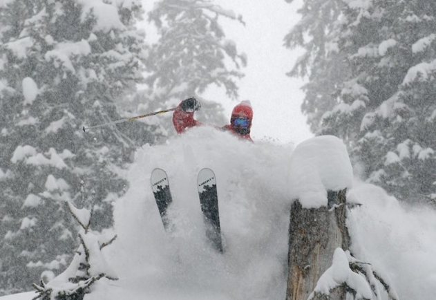 David Lesh Photography