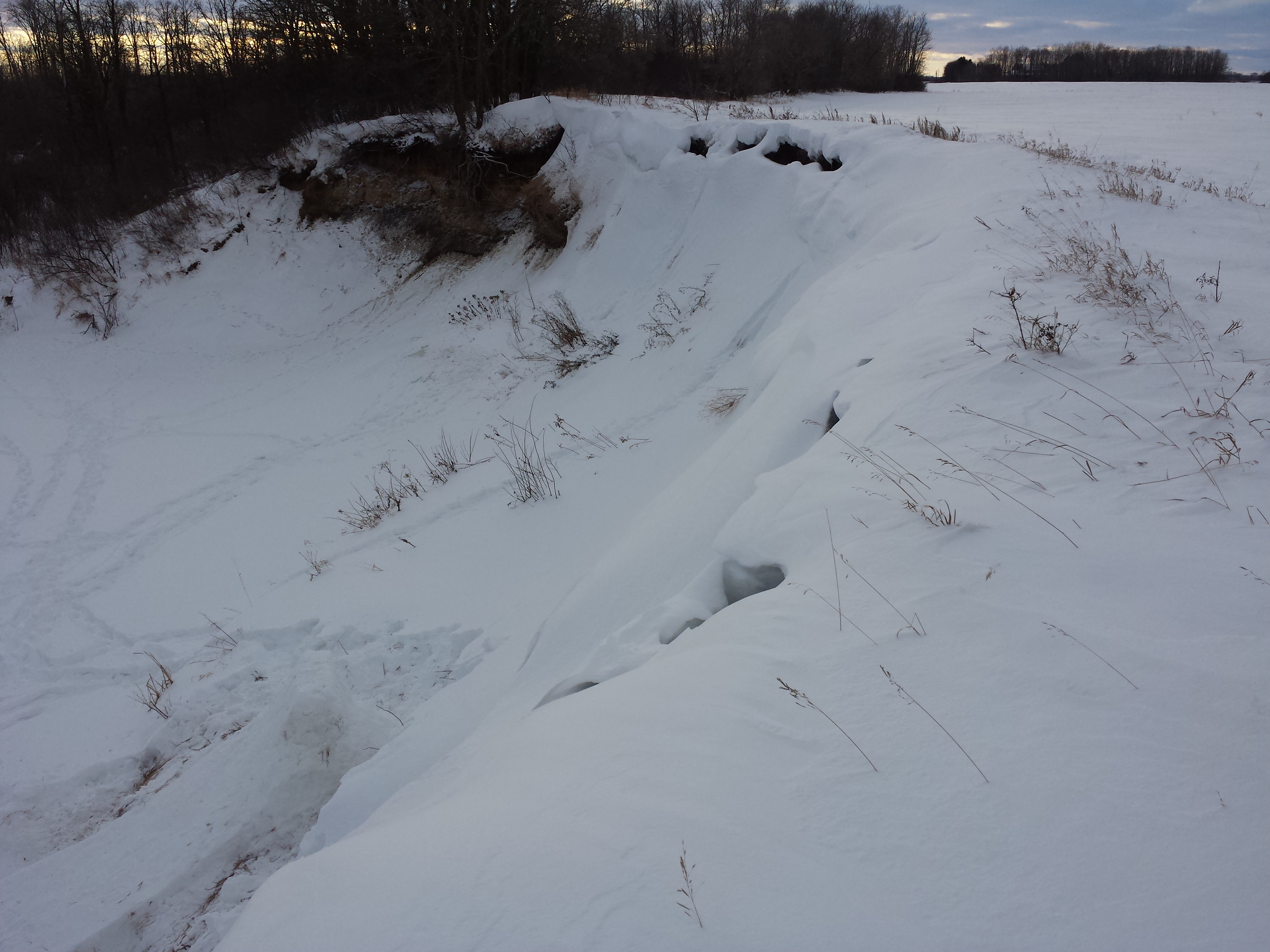 Day 2: New and Improved 4