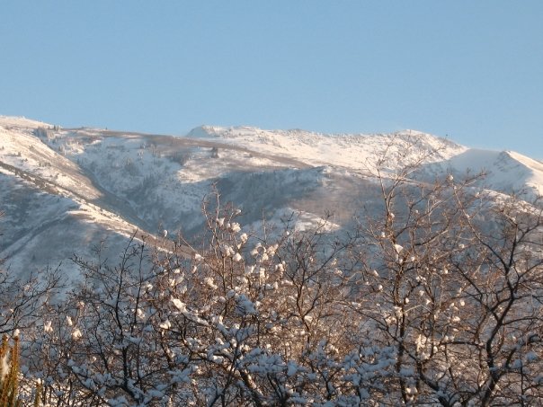 Day after huge storm.