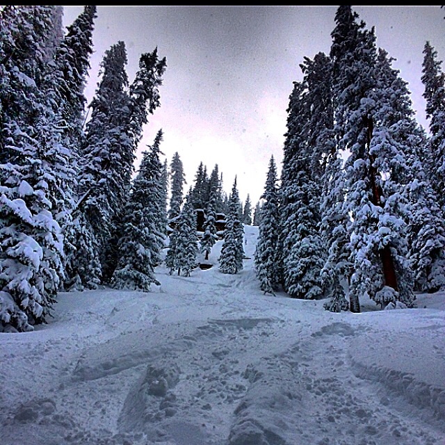 Deep snow and very steep at vail