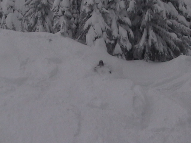 deep snow=face shots