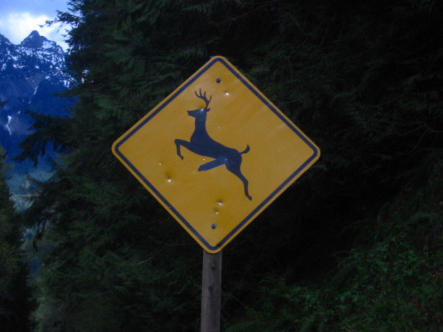 Deer signs are funny