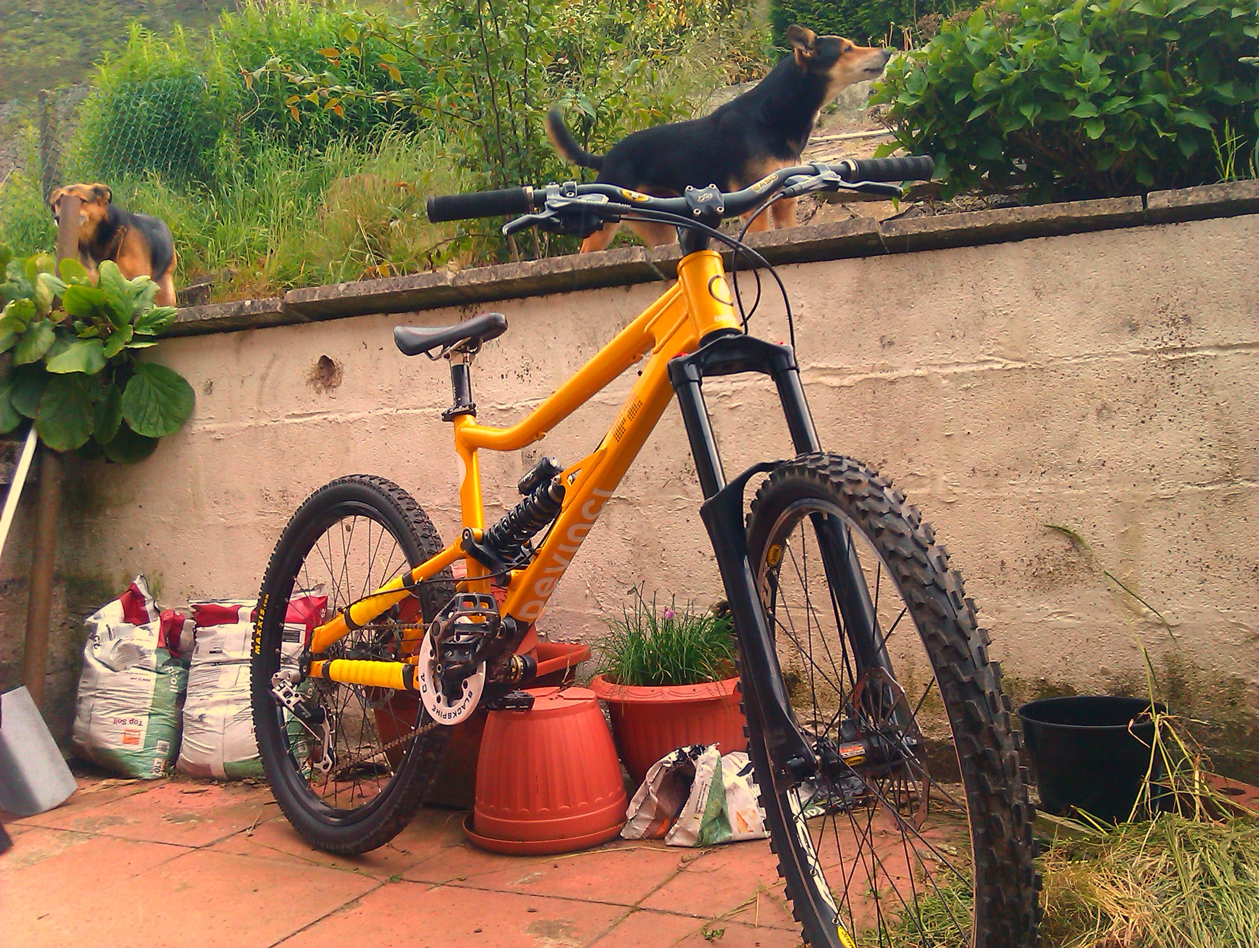 Devinci frantik