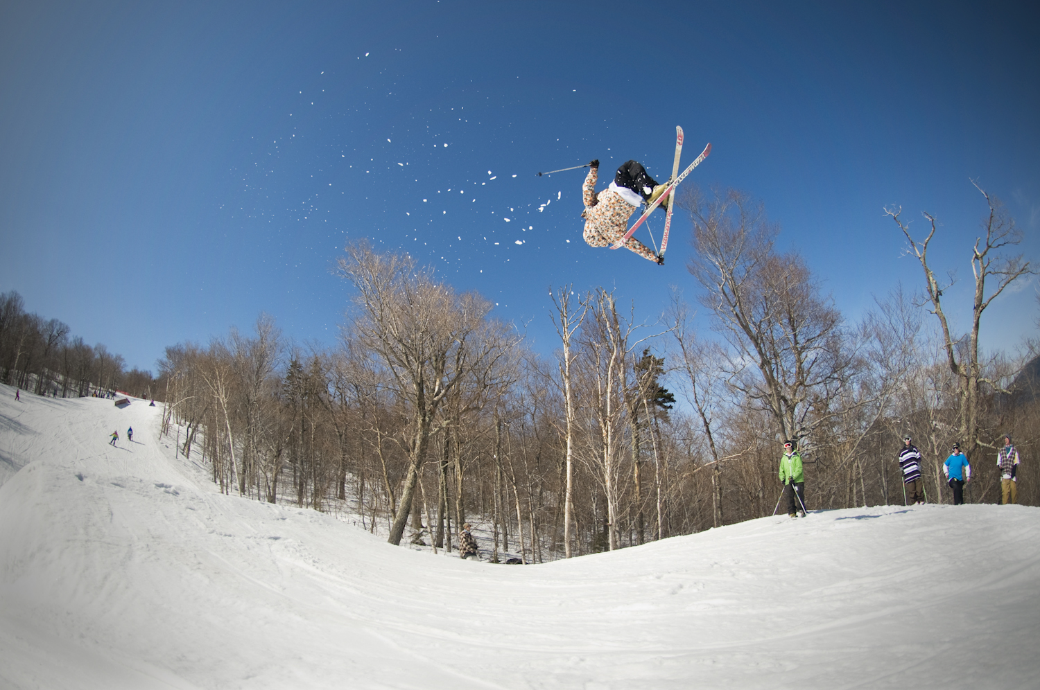 Did i get the tail haha