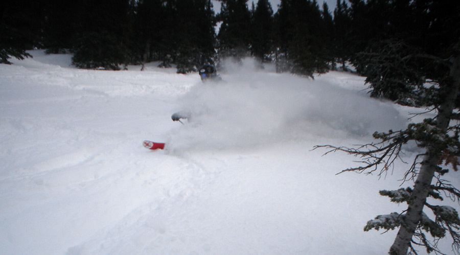 did you give a baby a gun and wrap it in asbestos?