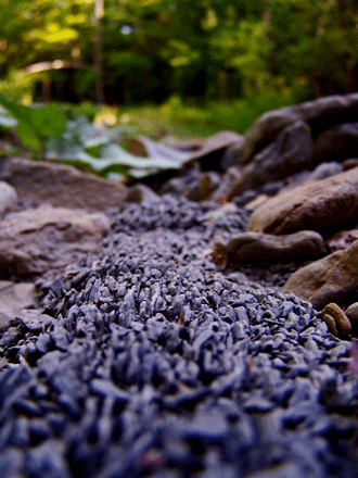 Different Point of View