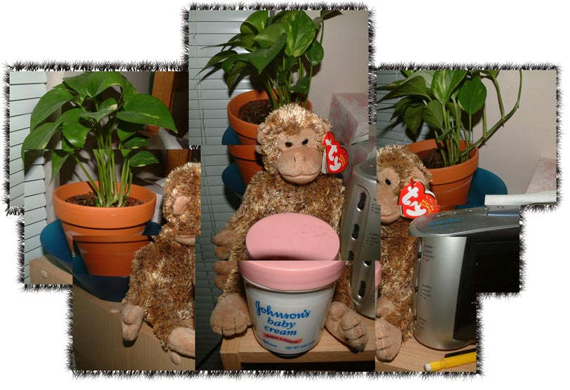 digi photo project i thought was cool