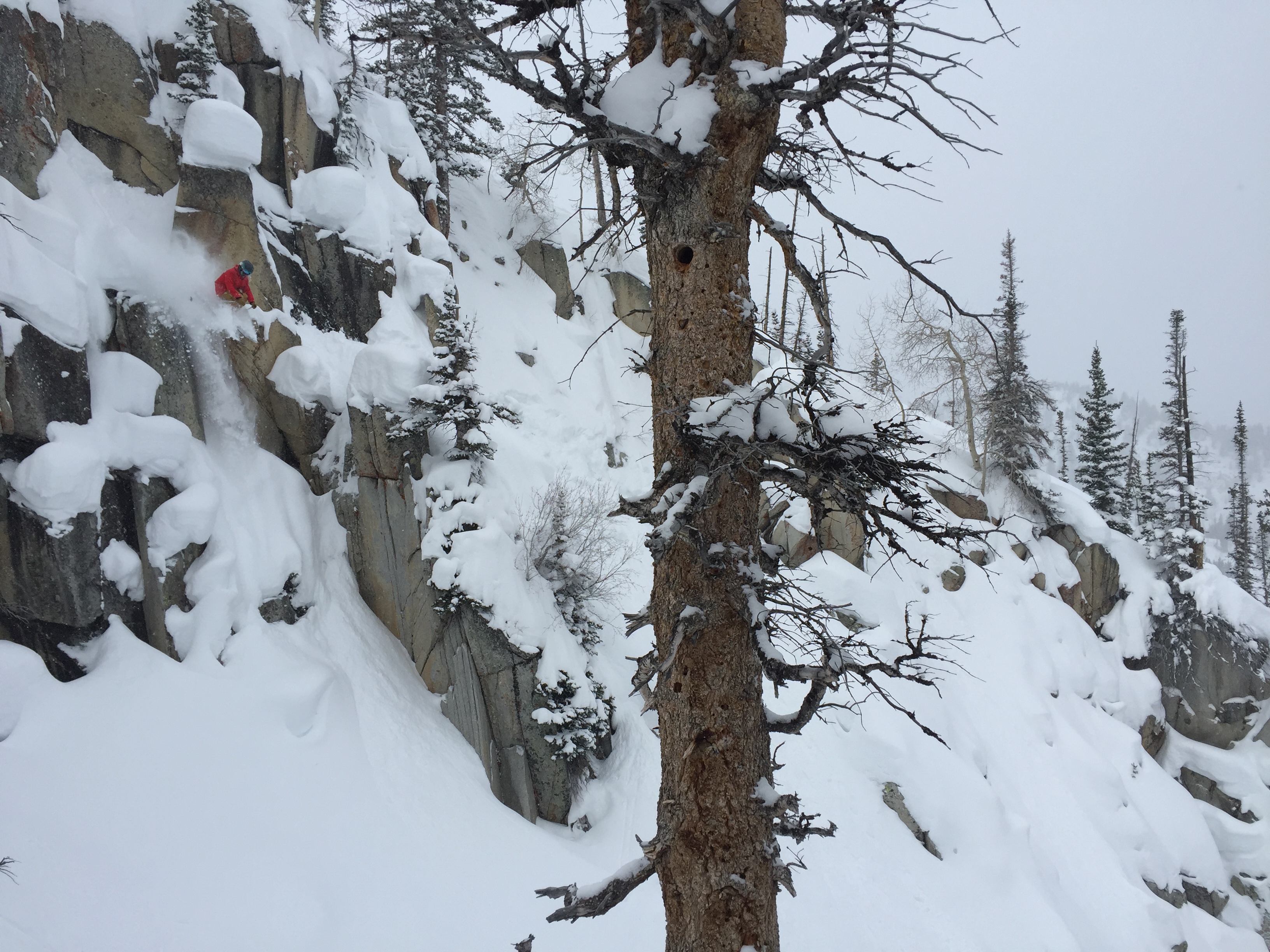 Dillon Green - Brighton Resort - January 16th, 2016