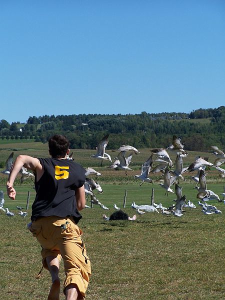 Disturpting the Experiment.