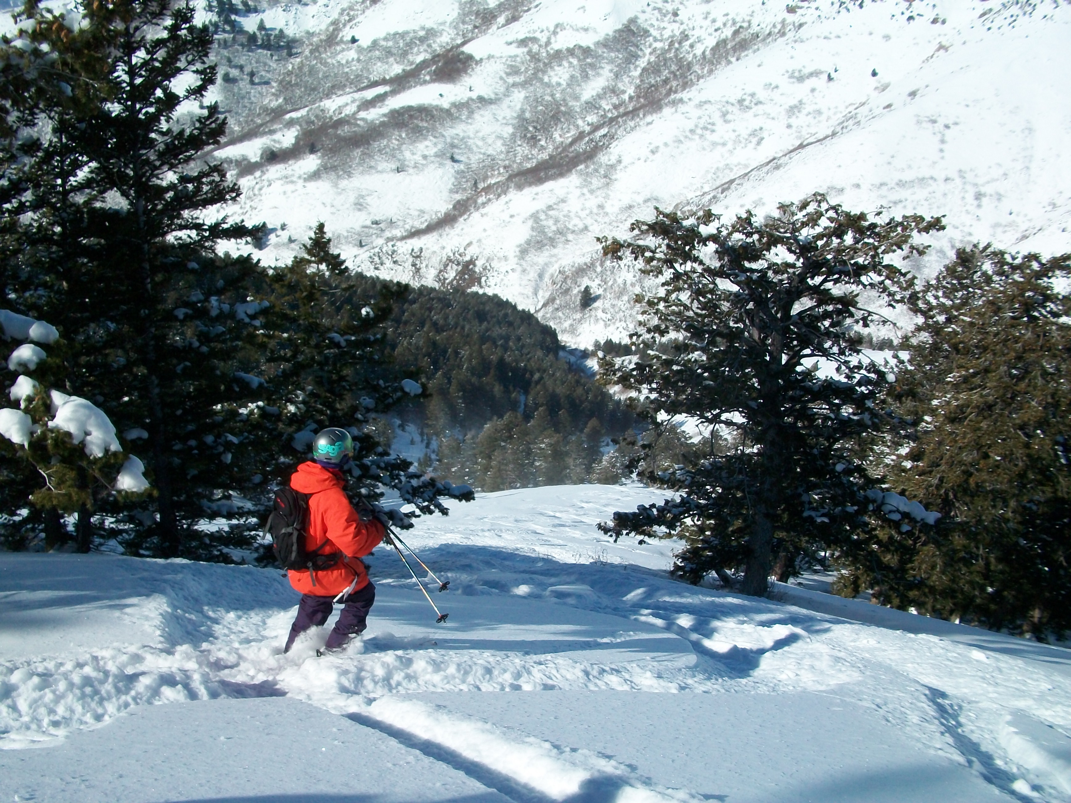 DMI skiing