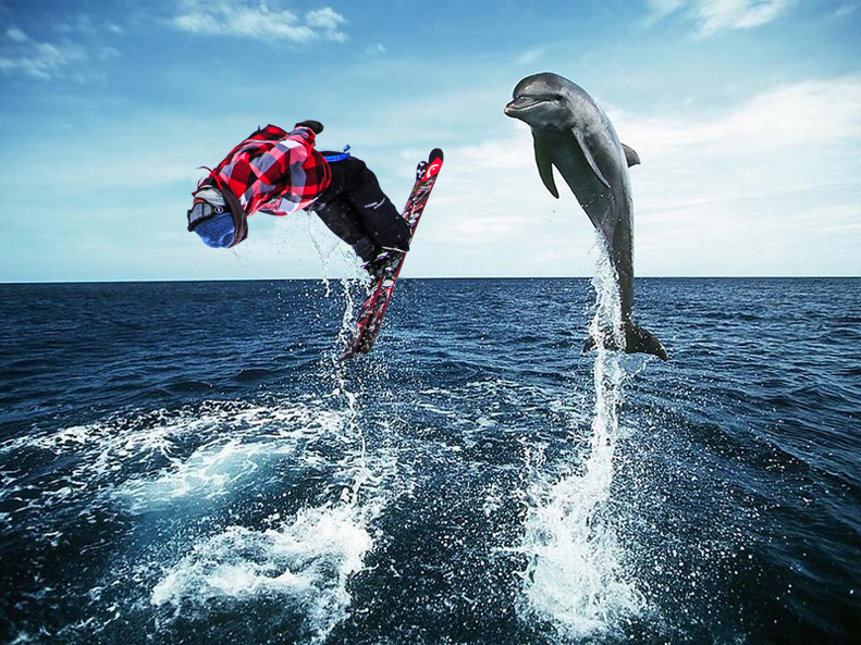 dolphin flip