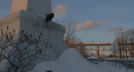 Dom Laporte Face bounce