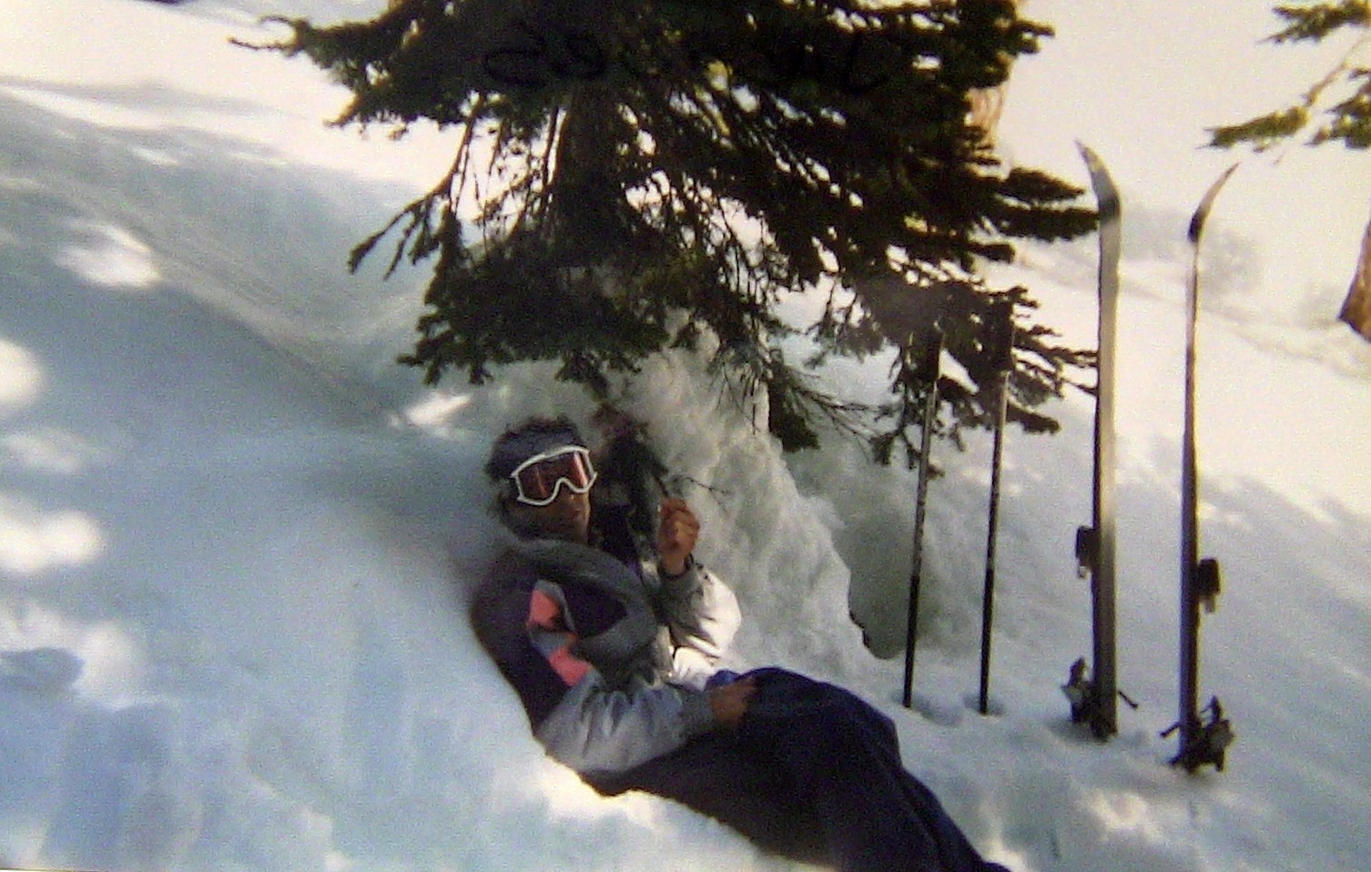 Dominator Jacques (Click for Info) 1970's