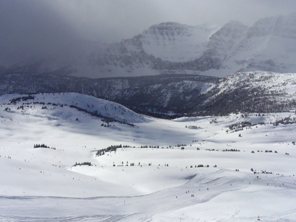 Don't believe everything that you breathe.