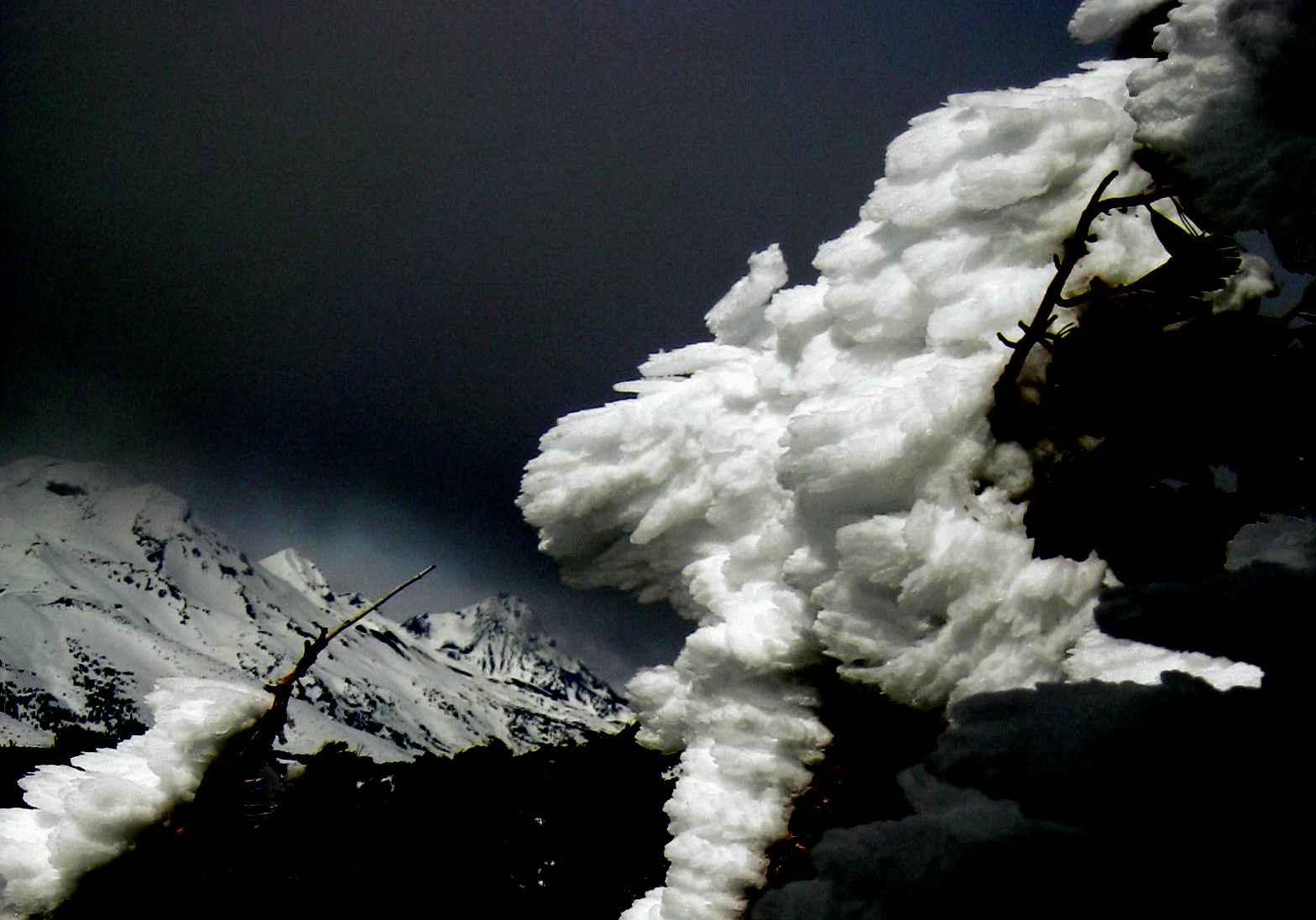 Dont really know what to call it.....