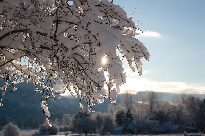 Don't you just love the snow. Why?