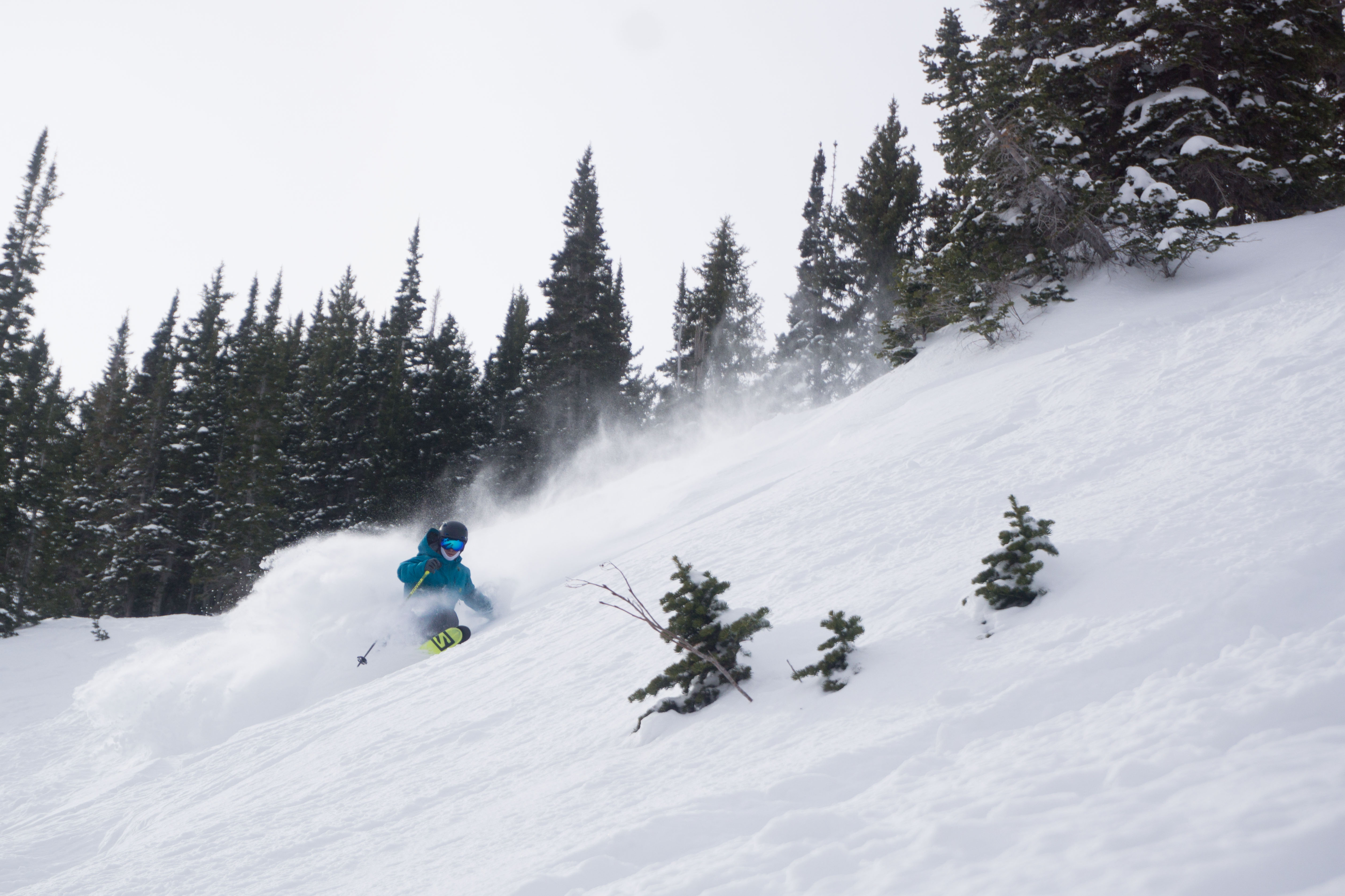 Doorway to the whiteroom