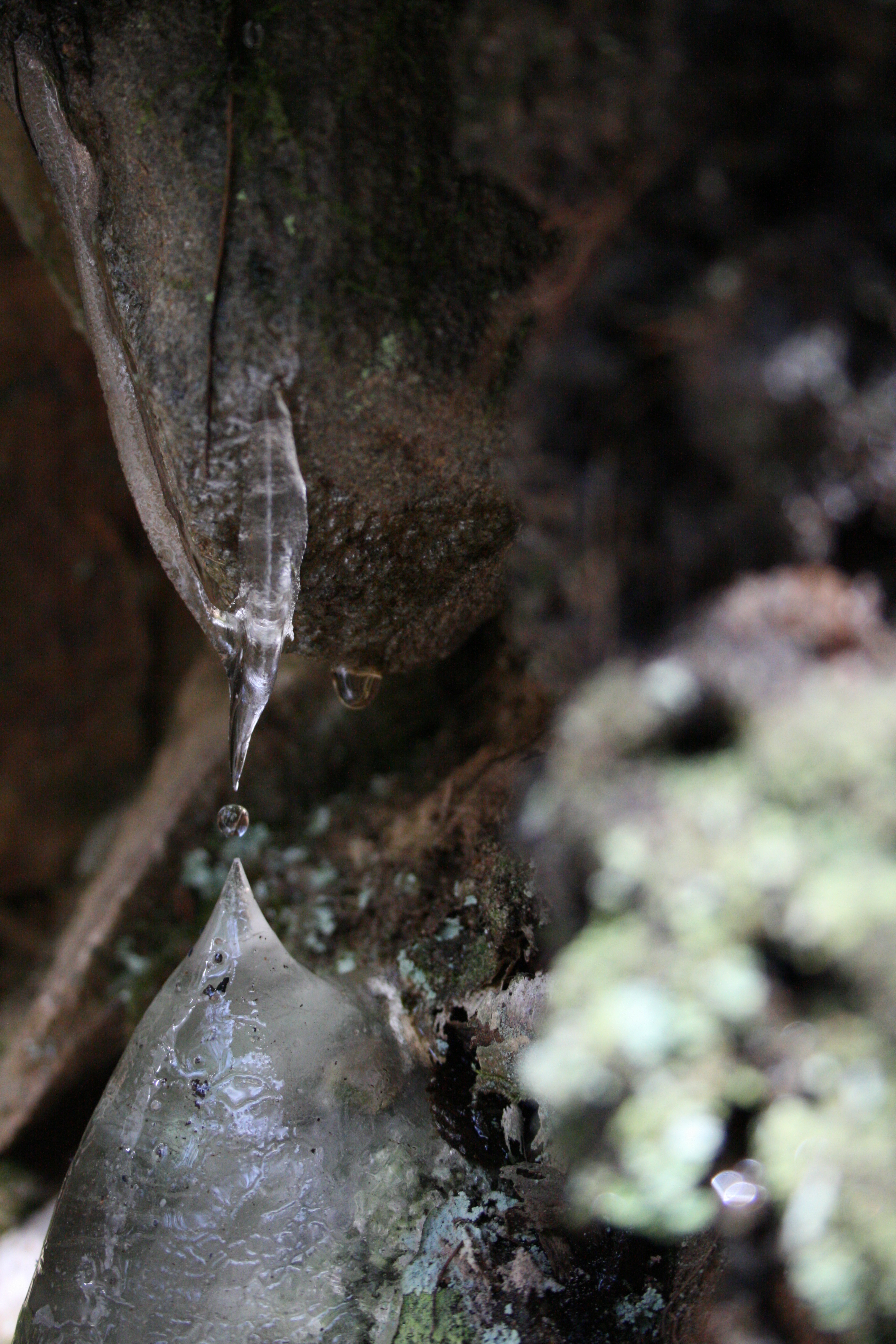 Double Icicle Droplet