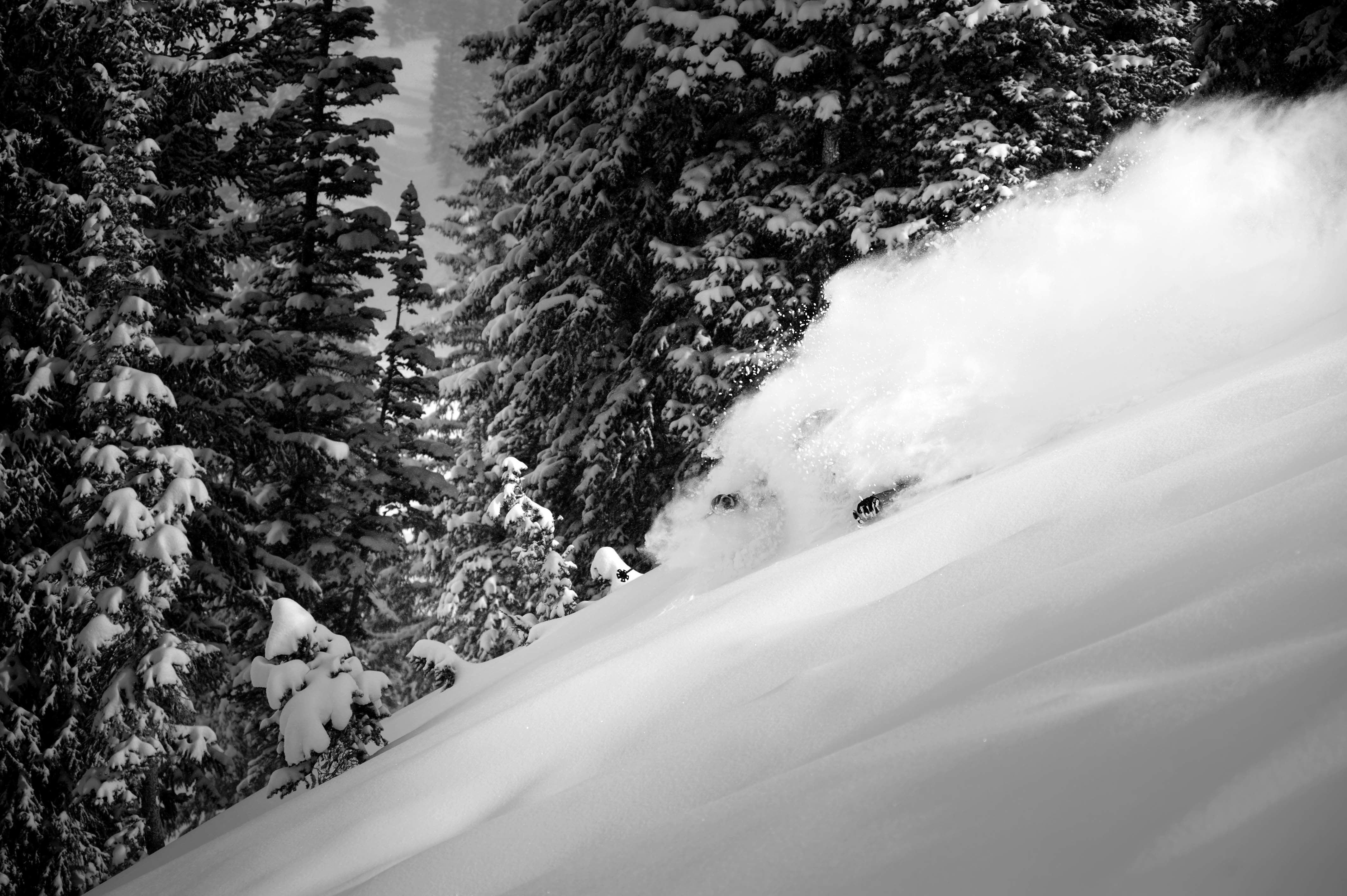 Dreaming of Trenchtown