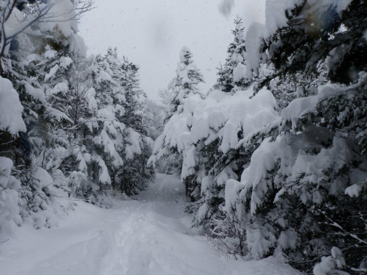 Drivin in a fast car