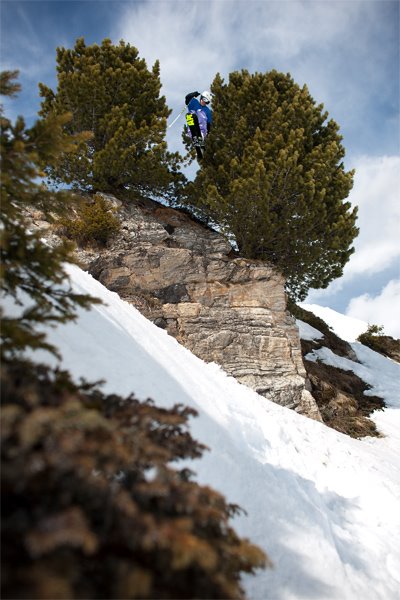 Drop through the trees