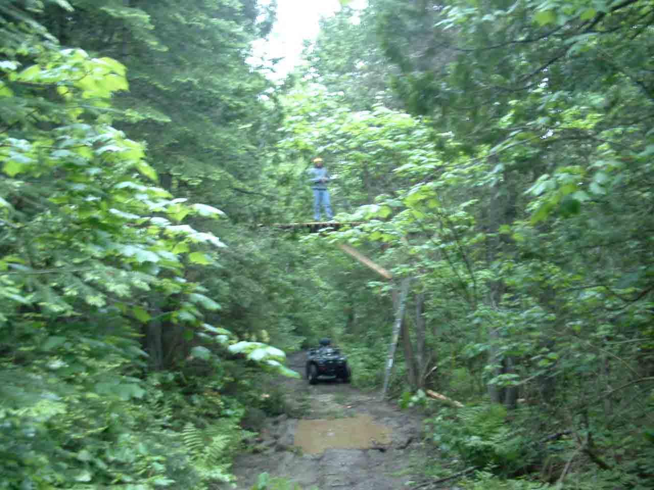 Drop were still workin on