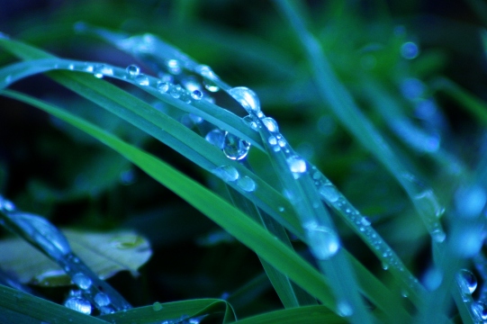 Droplets 2