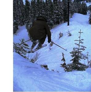 Droppin over some saplings