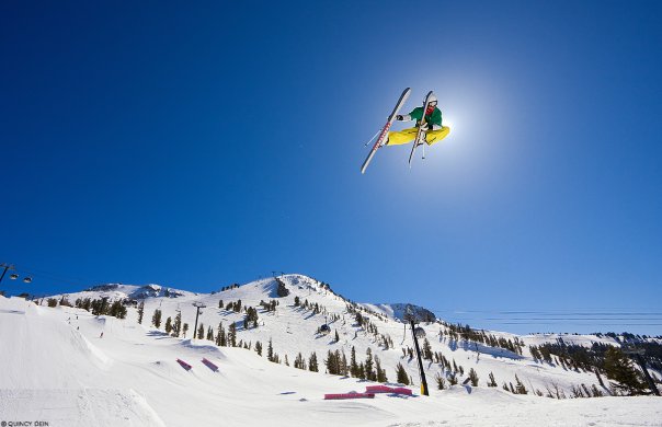 DROPP'N BOW and ARROWS