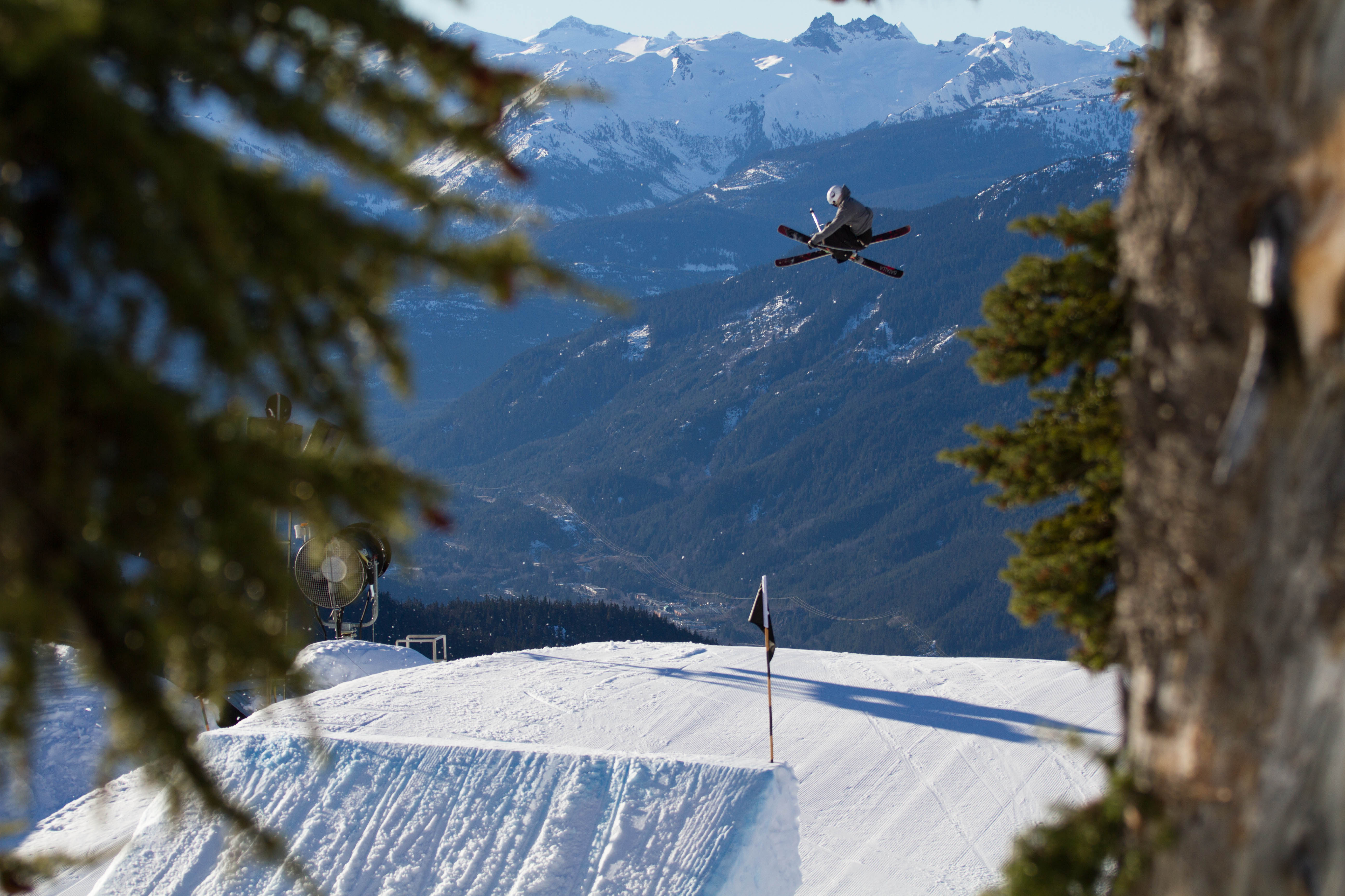 Dub Cork 10 Through the Trees
