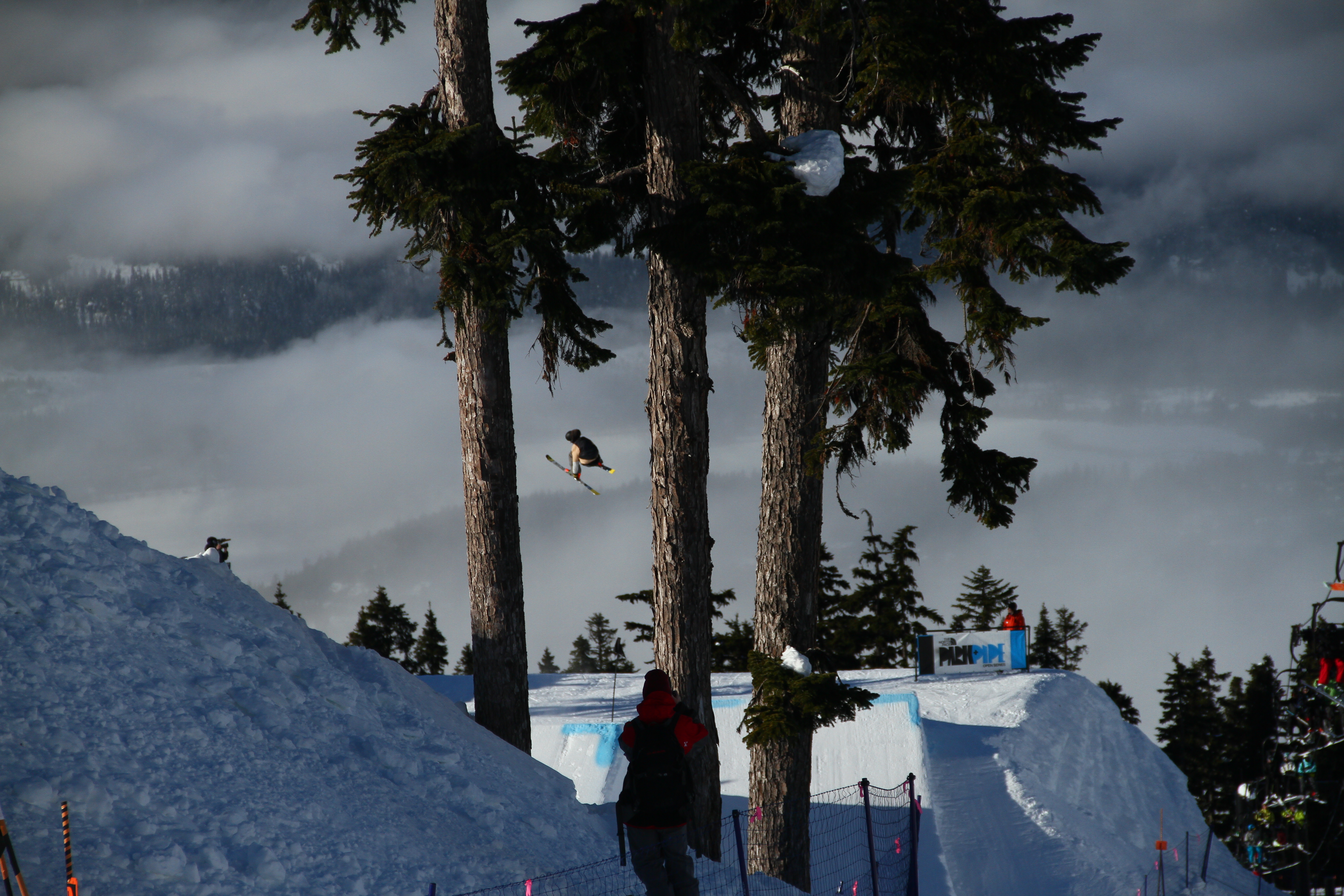 dubbin through trees