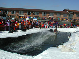 Duddy cruising on his way to eating shit