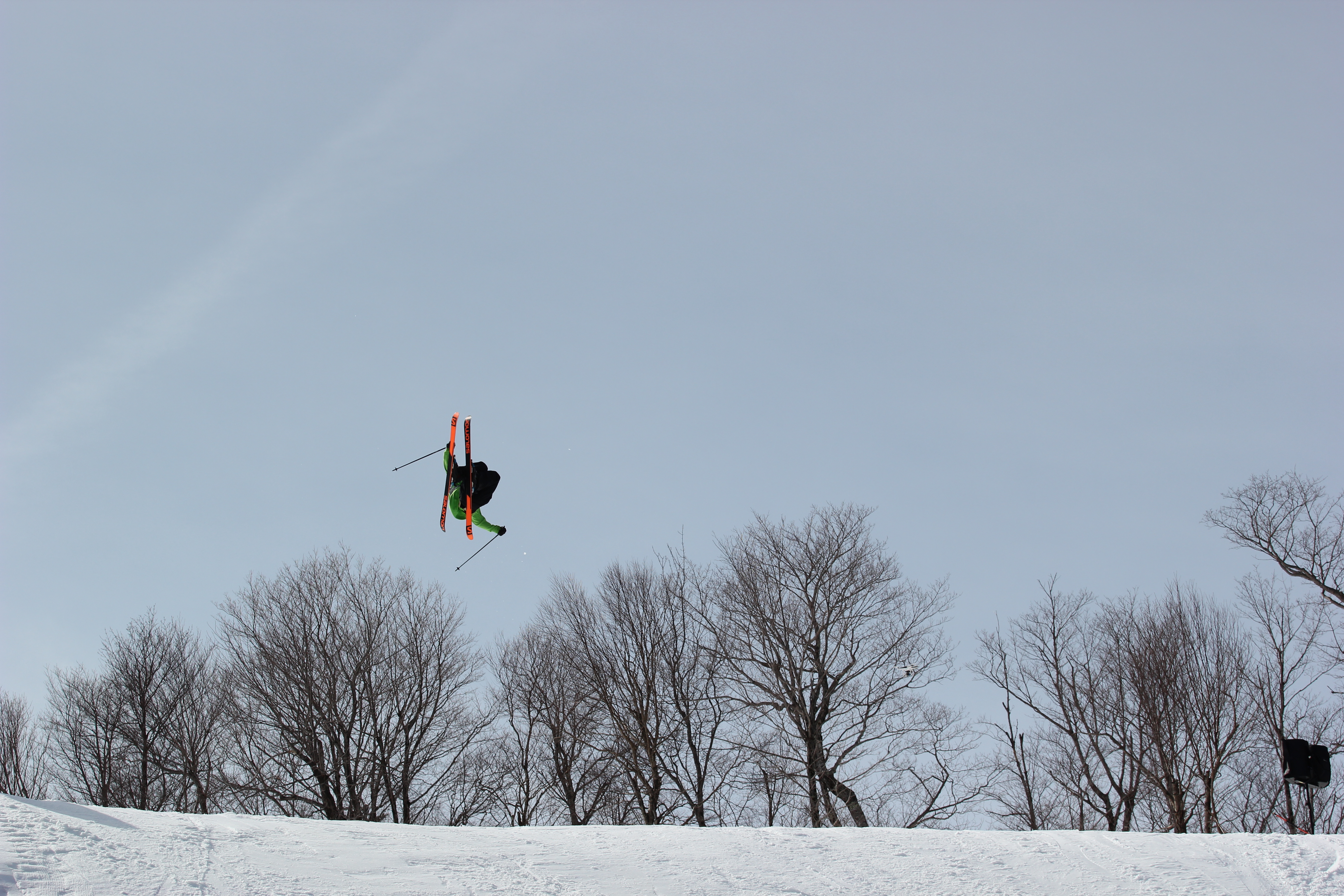 Dudemont Perspective