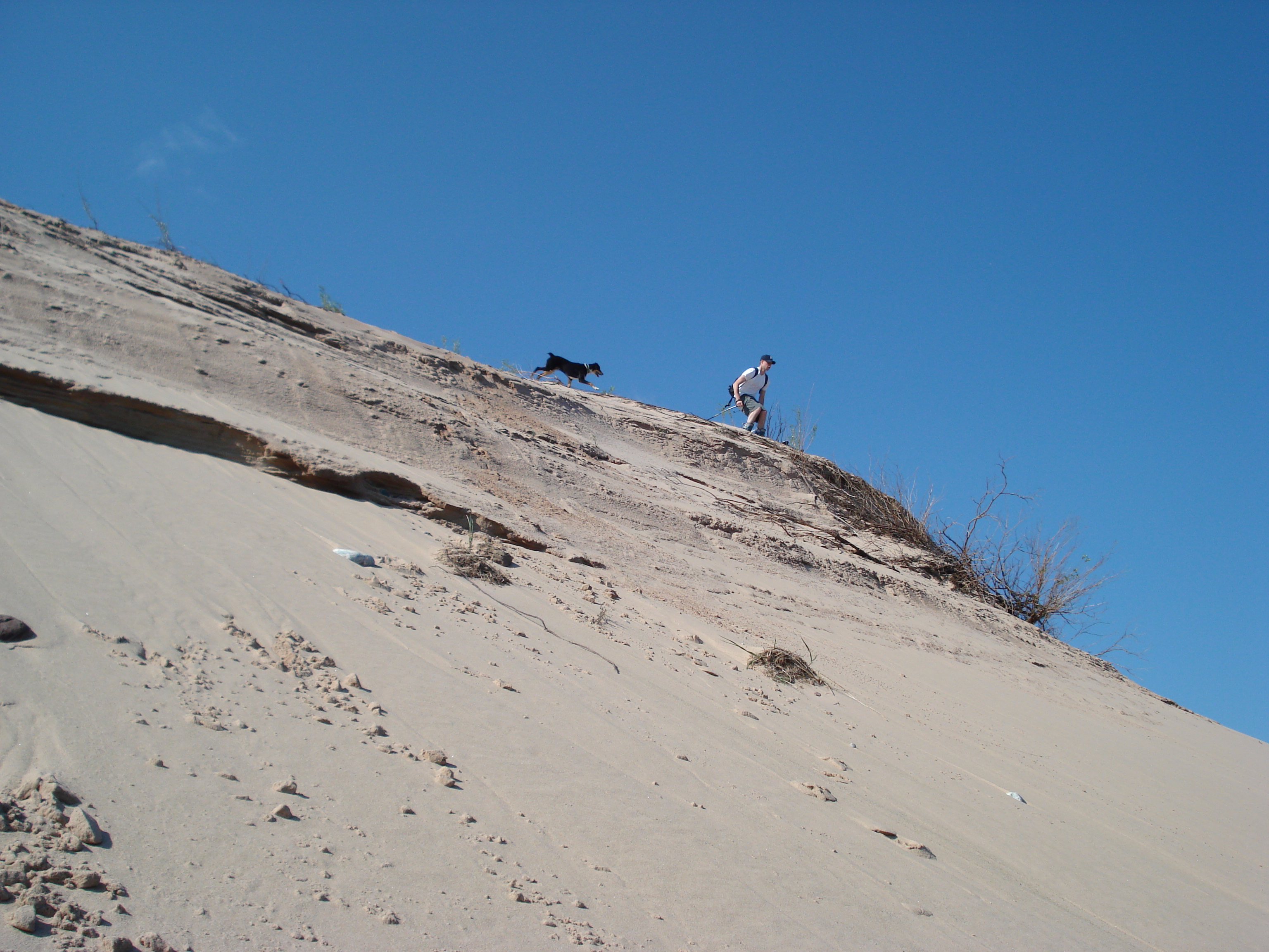 Dune skiing