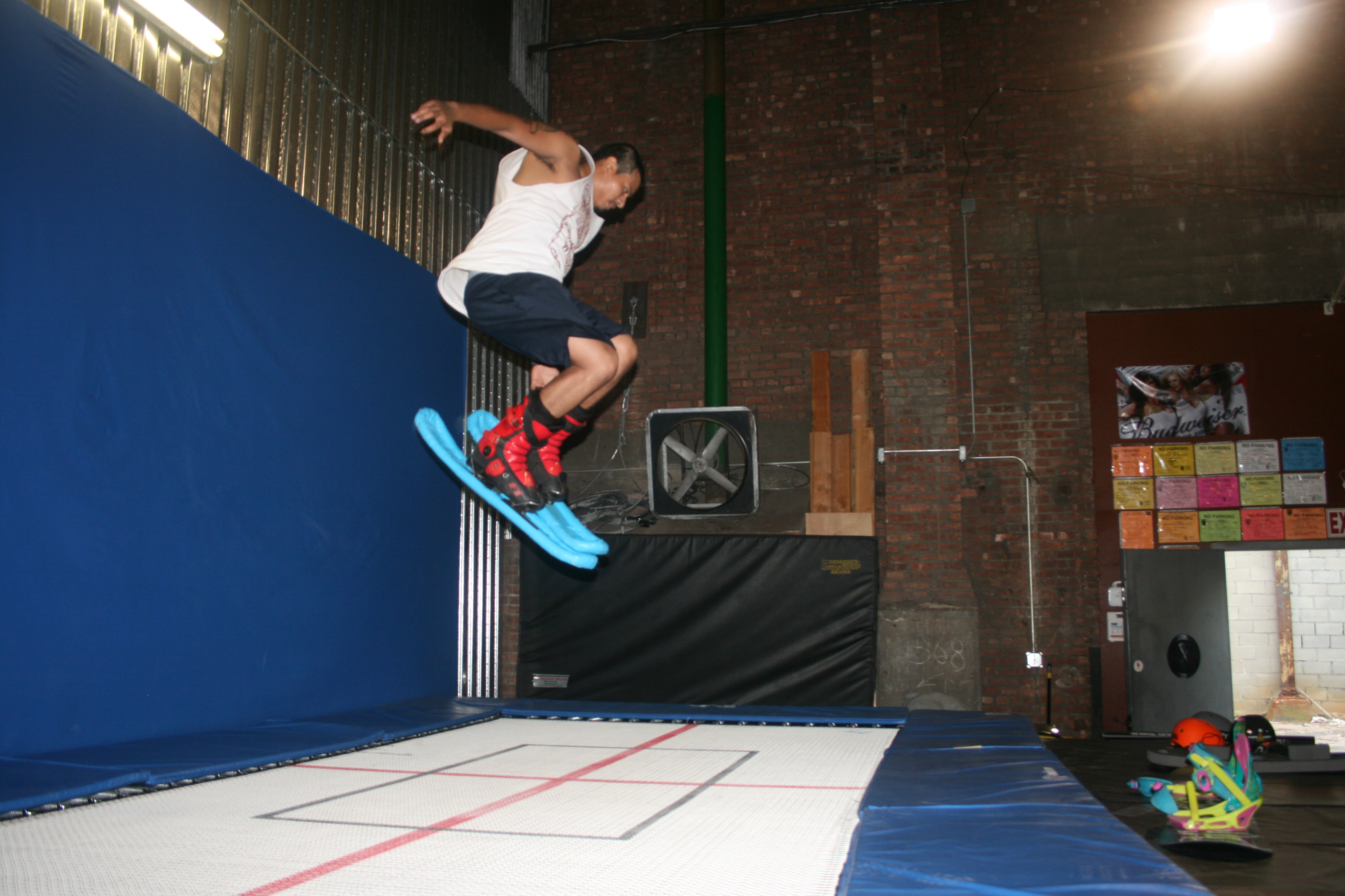 e-estrada on the tramp skis!