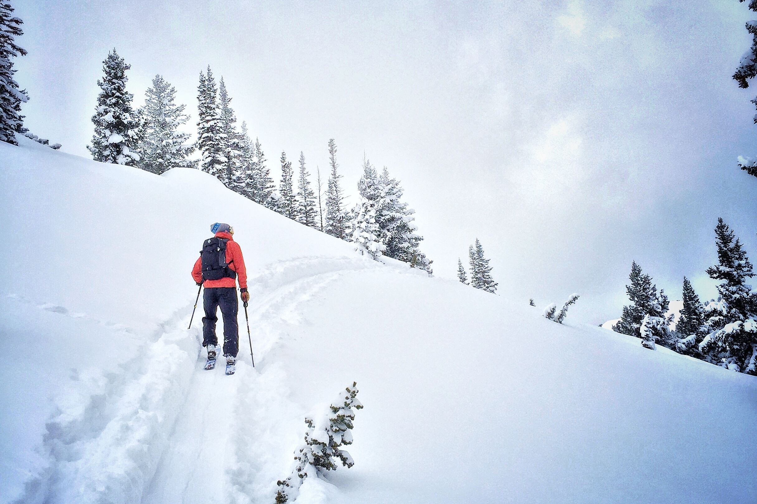 Early AM on the Skin Track