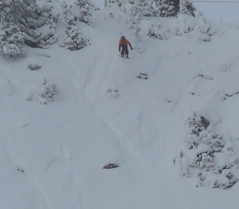 Early season in garbage chutes