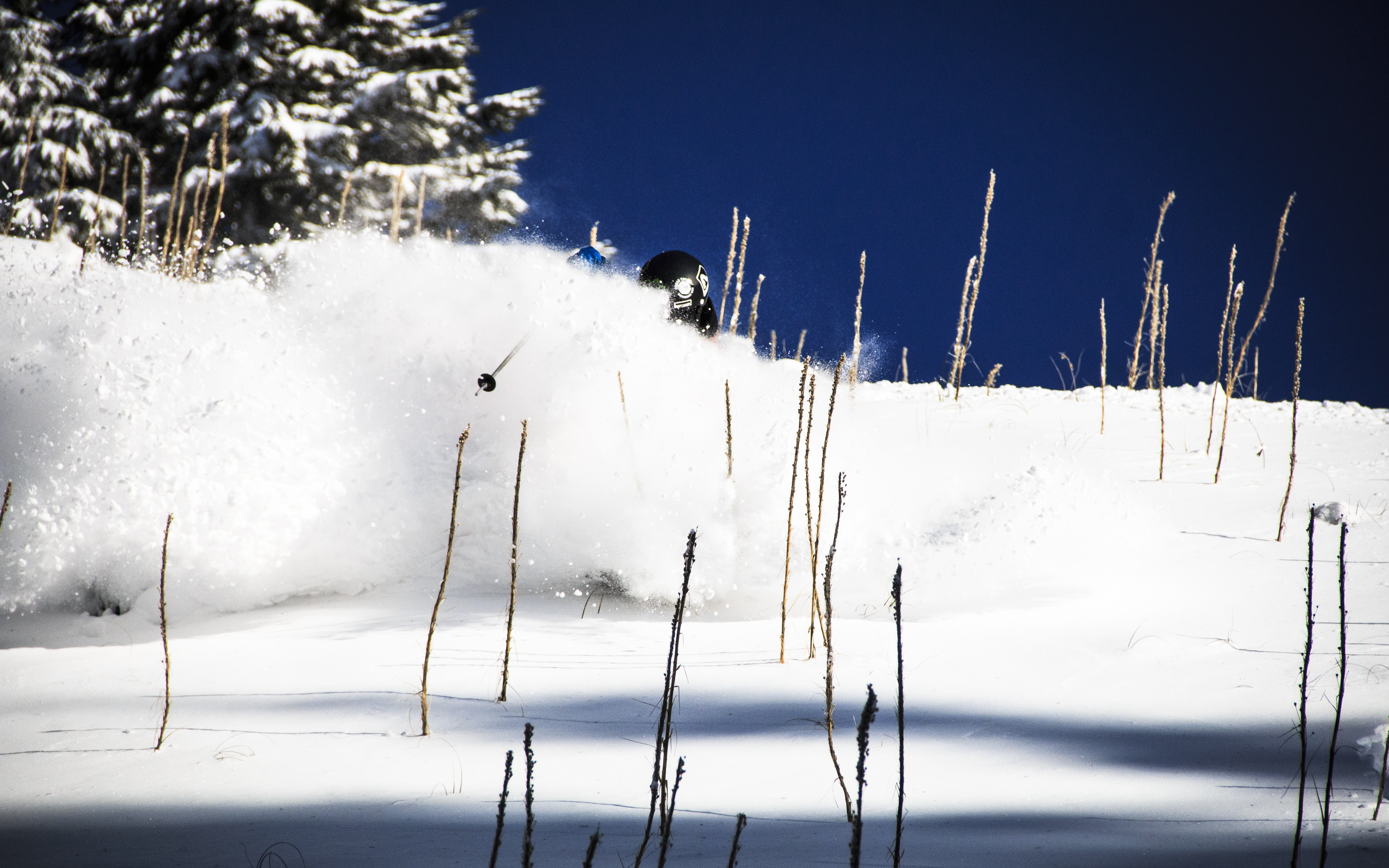Early Season Lines at Tline